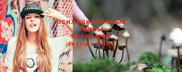mix Алексин